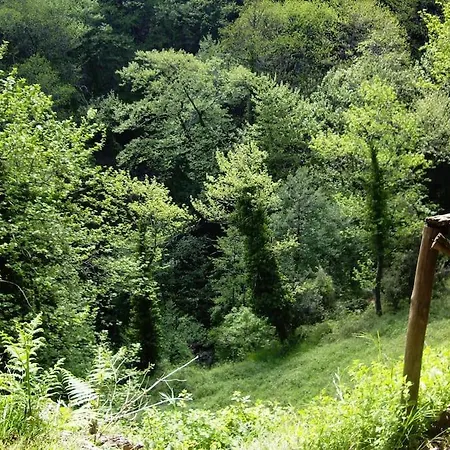Wonderful 4 Bedroom & Separate Thalia * Загора