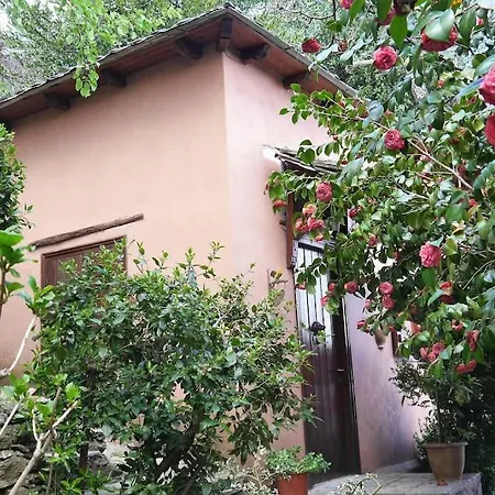 Βίλα Wonderful 4 Bedroom & Separate Thalia Ζαγορά