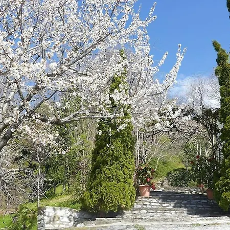 Wonderful 4 Bedroom & Separate Thalia * Ζαγορά