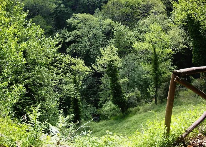 Wonderful 4 Bedroom & Separate Thalia * Zagora