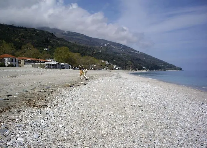 Wonderful 4 Bedroom & Separate Thalia Vila Zagora