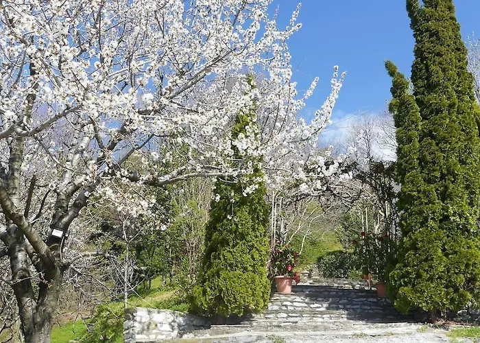 Wonderful 4 Bedroom & Separate Thalia * Zagora